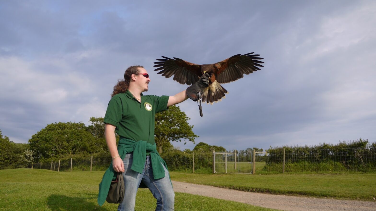 The Wonders of the Cumberland Bird of Prey Centre